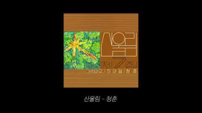 산울림 - 청춘 [Official Audio]