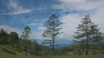 絆 by 塚田三喜夫 　