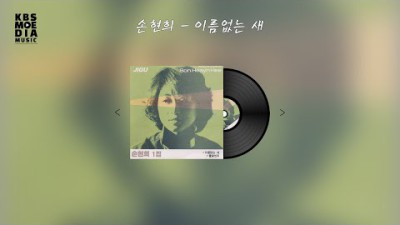손현희 - 이름없는새 Lyric Video (가사 비디오)
