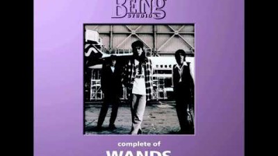 WANDS - jumpin' jack boy